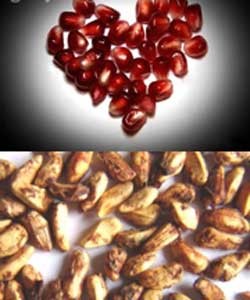 رفع کدری پوست با روغن دانه انار
