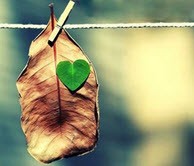 نوشته های یک دل شکسته