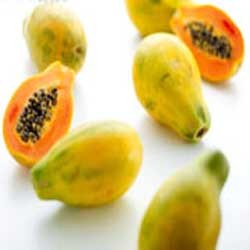 خربزه درختی و پیشگیری از سرطان و  سکته قلبی