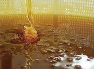 فرق عسل طبیعی از تقلبی چیست؟
