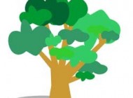 ماه تولد شما چه درختی است؟