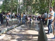 دستگیری دست جمعی افراد در مراسم جنجالی آب بازی در کرج