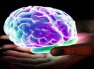 واکنش مغز در طی ارگاسم
