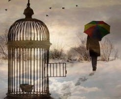 یک روز  بلاخره ملتفت خواهی شد