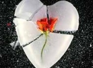 اس ام اس زیبای دل شکوندن