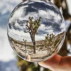 بین خواب دیدن زن و مرد هم تفاوتی وجود دارد؟