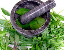 این گیاهان دشمن اضطراب هستند