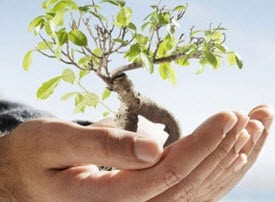 داستان جالب تغییری در جهان