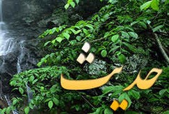چندین حدیث زیبا از امامان
