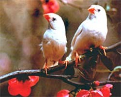 راه یک ازدواج بی دردسر