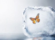 معنی دقیق بردباری در زندگی