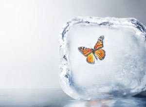معنی دقیق بردباری در زندگی