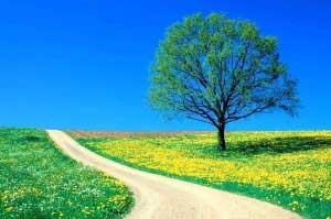 معنی دقیق نوروز