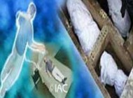 چگونگی سفر مرگ و قیامت