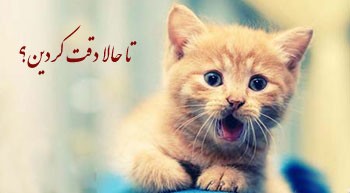 طنز باحال تاحالا دقت کردین
