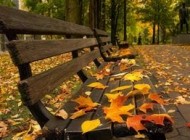 مواظب هوای پاییزی باشید