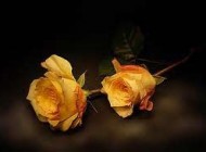 یک دعا مختص جا کردن خود در دل دیگران