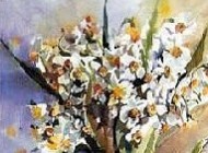 نمادهای سفره هفت سین