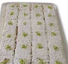 چگونگی تهیه شیرینی ناپلئونی