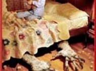 با کودکانی که کابوس می بینند چکار کنیم