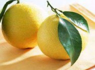 مرهم گیاهی مختص معده درد