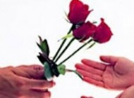 همکاری در عشق