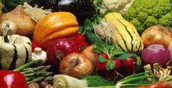 فیبر های چربی سوز