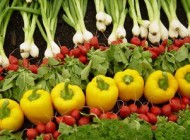 شستشوی سبزی ها و مراحل اصولی آن