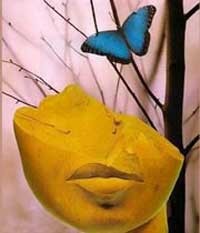 زنان و رویاهای زنانه